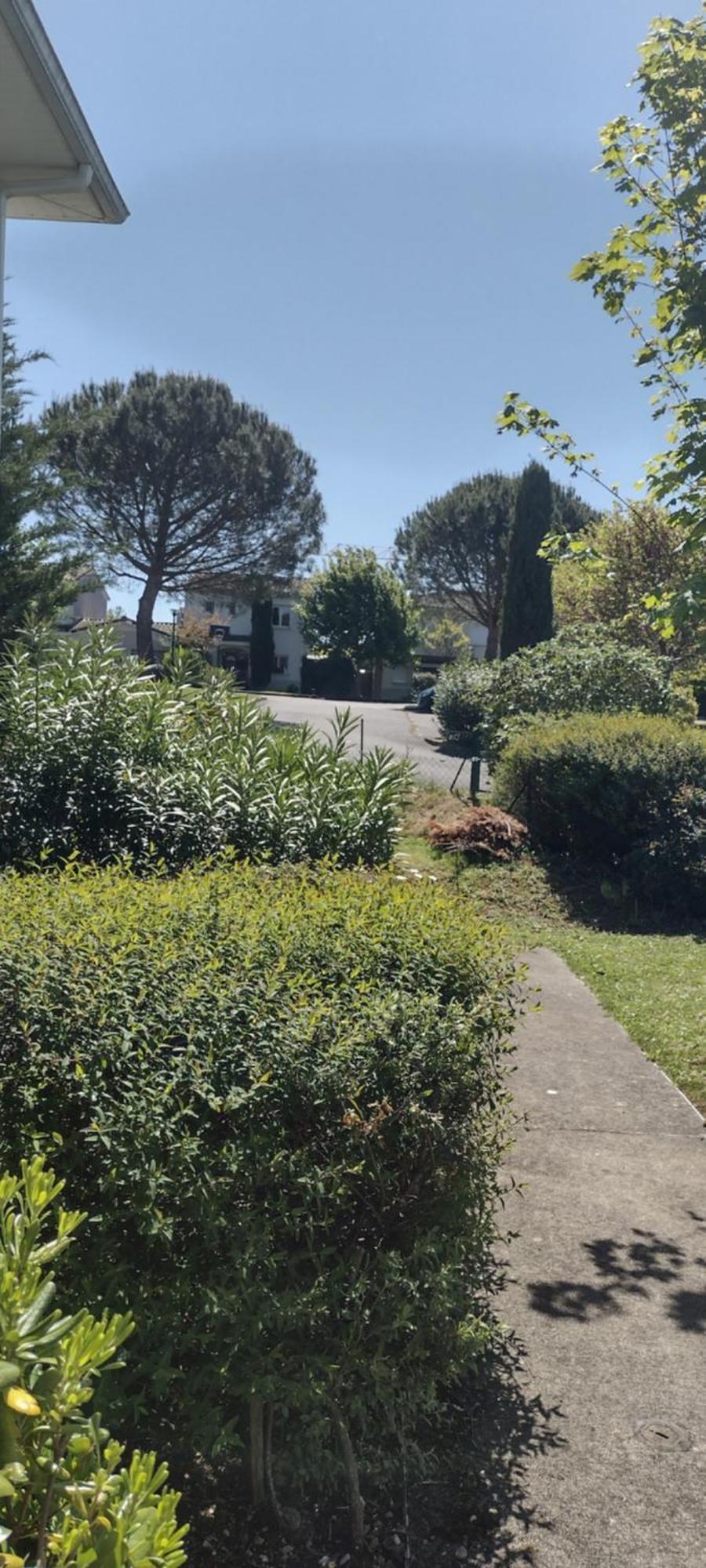 Gragnague Duplex Casita Mia Chez Myriam Gite 3 Etoiles Climatise 4 Adultes 2 Chambres 3 Lits Terrasse Jardin מראה חיצוני תמונה